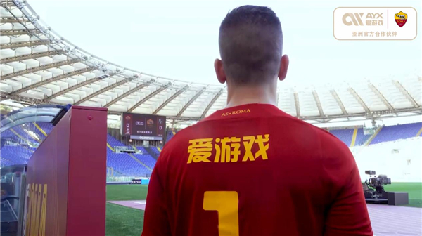 职业生涯涉